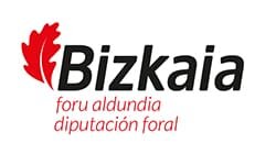 socio-diputacion-foral-bizkaia